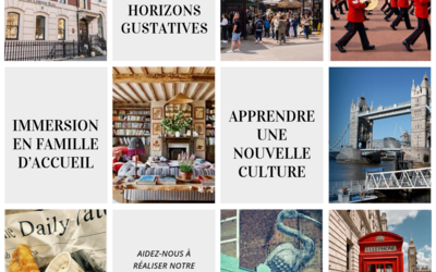 Image du projet Séjour linguistique et professionnel à Londres