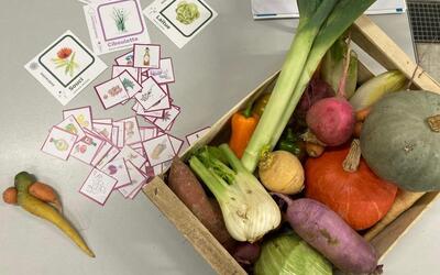 Image du projet Éveil au goût & éducation à l’alimentation saine pour l'école Carle Bahon de Rennes
