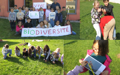 Image du projet Quelle biodiversité près de notre école?