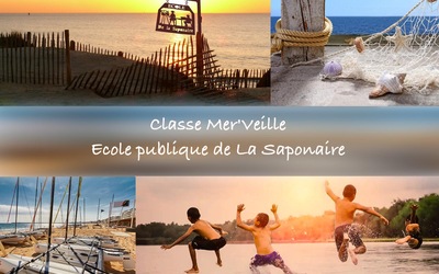Image du projet Classe Mer'veille