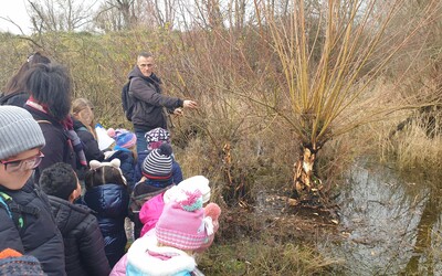 Image du projet Aire Terrestre Educative de l'Etang de Charmes