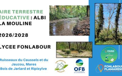 Image du projet Aire terrestre éducative d'Albi la Mouline-Bois de Jarlard