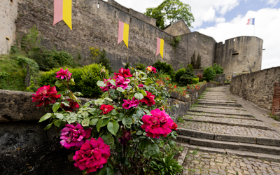 Image du projet Le blason de notre école