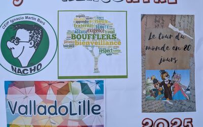 Image du projet Valladolille