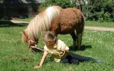 Image du projet Les élèves de CE1B de l'école Pierre Brossolette, du Perreux sur Marne,  en classe poney