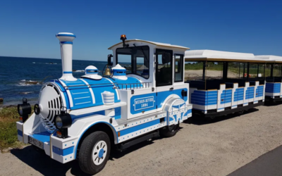 Image du projet Classe de découverte en Vendée