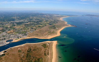 Image du projet Allons découvrir une AME et la biodiversité de bord de mer