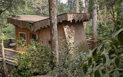 Image du projet Classe verte à Montolieu