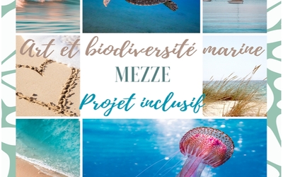 Image du projet Arts, biodiversité marine et Inclusion