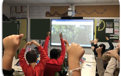 Image du projet Apprendre le vivre ensemble par la pratique du sport