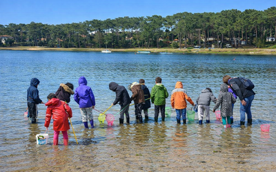 Image du projet Classe en milieu marin