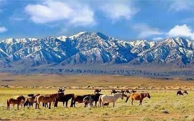 Image du projet Échange culturel et éducatif Mongolie - France