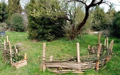 Image du projet Aire Terrestre Educative de l'Ecole Emile Zola à Rochefort