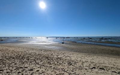 Image du projet Voyage scolaire sur le Bassin d'Arcachon