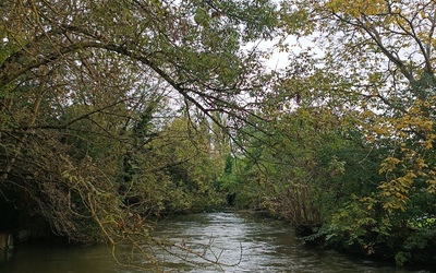 Image du projet Les Petits Reporters de la Nature de l'école Cour Chertier de Bourges