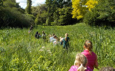 Image du projet ATE La vie derrière l'école Les Mille Mots du Bourgneuf la Forêt (53)