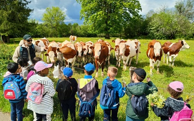 Image du projet En route pour la classe verte des CP - école Champagne