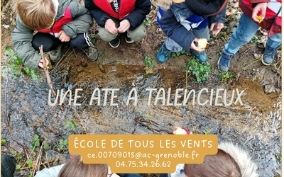 Image du projet Une aire Terrestre Educative à Talencieux