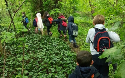 Image du projet Aire éducative: le Labo Nature