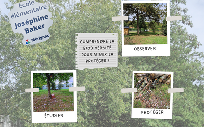 Image du projet L'AIRE EDUCATIVE DU BURCK
