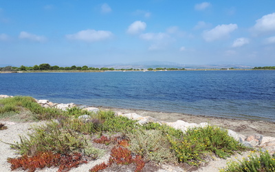 Image du projet Les CM1-CM2 de Jeanne Moreau partent en classe de mer