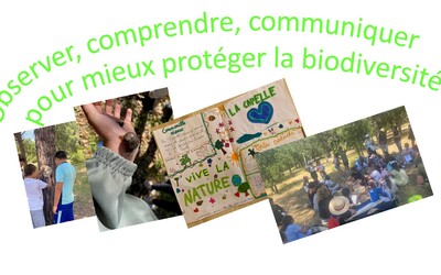 Image du projet Aire Terrestre Educative de l'école de la Bouverie