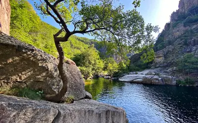 Image du projet ARDECHE AVENTURE, LYCEE LOUISE WEISS