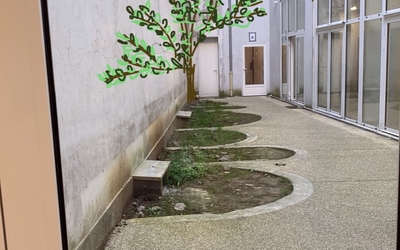 Image du projet Végétaliser et embellir le patio du collège