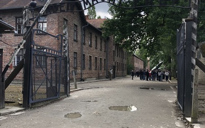 Image du projet VOYAGE MEMORIEL A  AUSCHWITZ DES TERMINALES