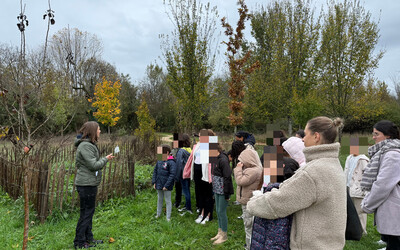 Image du projet Poursuite ATE Grand Jardin