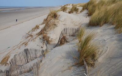 Image du projet A la découverte de la mer