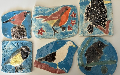 Image du projet L'Aire Terrestre Educative des CM2 de Gréasque