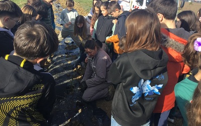 Image du projet Des arbres au cœur de nos vies