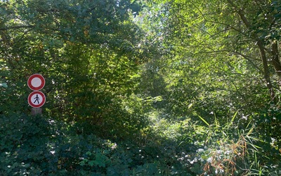 Image du projet L'Aire Terrestre de la classe développement durable 