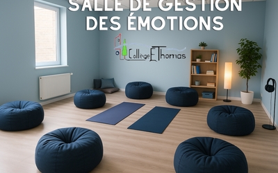 Image du projet Salle de gestion des émotions