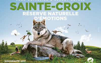 Image du projet Mandela en Classe Verte