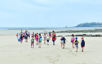 Image du projet Classe de mer à Gouville-sur-Mer