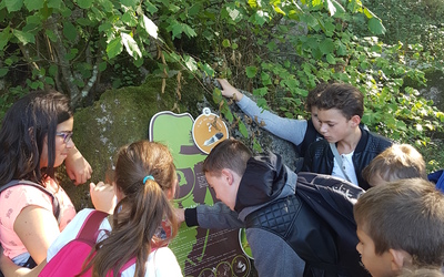 Image du projet Nature à Clisson : le Collège Cacault s'engage