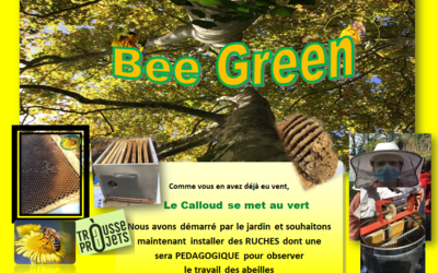 Image du projet Bee Green au Calloud