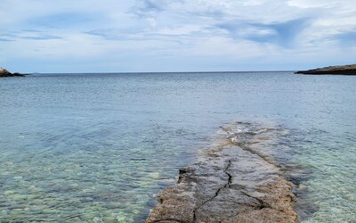 Image du projet Notre première classe verte 