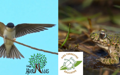 Image du projet Au secours de la biodiversité
