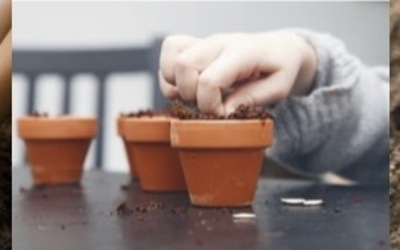 Image du projet Agriculture urbaine pour les CE1/CE2 de Jomard
