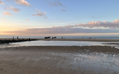 Image du projet Classe de mer