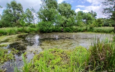 Image du projet Une aire éducative pour les milieux humides de Vred