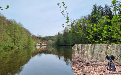 Image du projet Lycée de Bouxwiller- Sur les pistes de la biodiversité