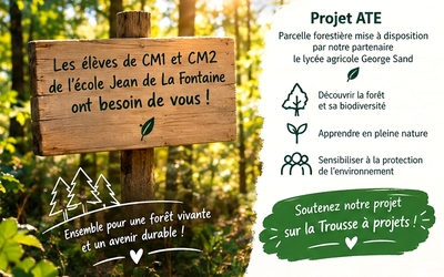 Image du projet Notre forêt, une classe à ciel ouvert !