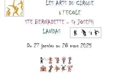 Image du projet Les arts du cirque