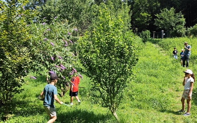 Image du projet Nature(s) à notre port(é)e à Voreppe - CM1/CM2 de l'école Stendhal