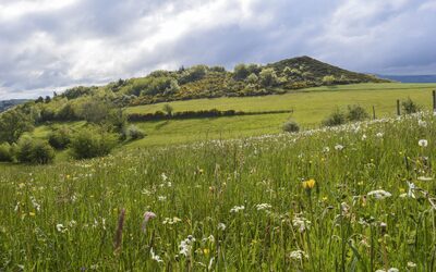 Image du projet Les élèves de Bitschwiller-lès-Thann partent à la montagne.
