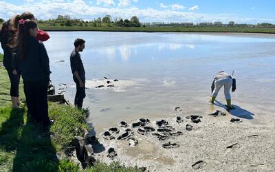 Image du projet A la découverte de la Normandie